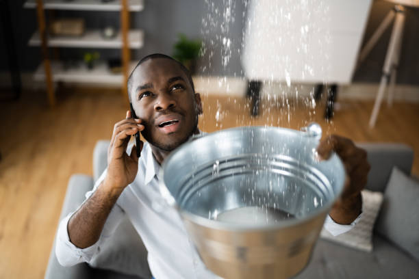 Best Water damage contractors near me  in Roseau, MN