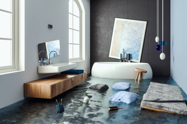 Best Basement water damage restoration  in Roseau, MN