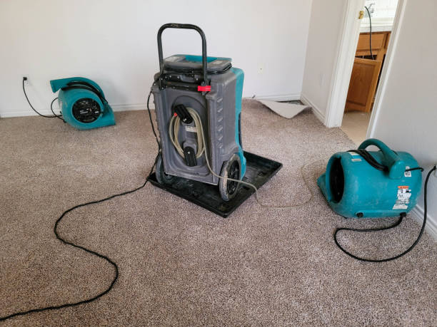  Roseau, MN Water damage restoration Pros