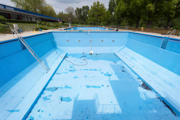 Best Fire Damage Restoration  in Roseau, MN