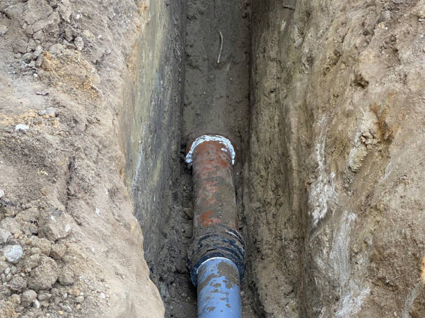 Best Flood restoration services  in Roseau, MN