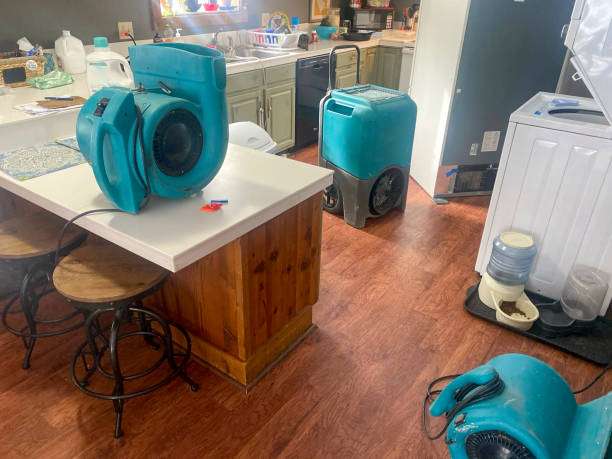Best 24-hour water damage restoration  in Roseau, MN