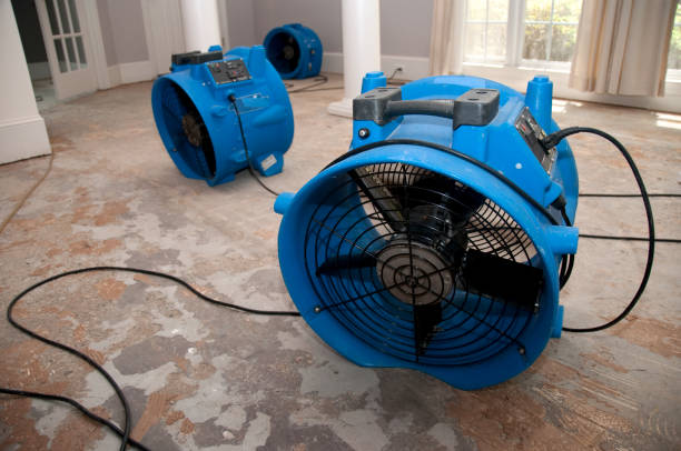 Best Ceiling water damage repair  in Roseau, MN