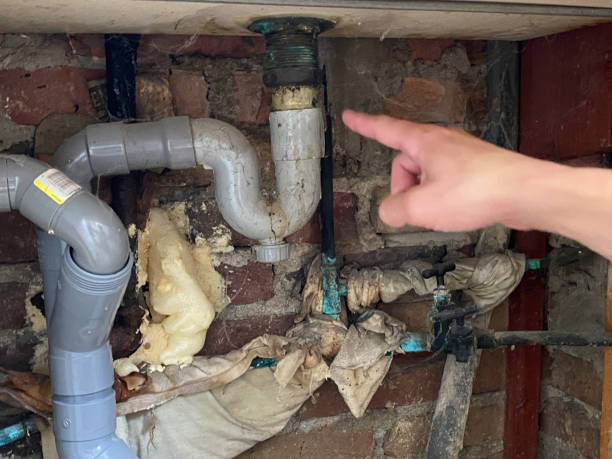 Best Water damage contractors near me  in Roseau, MN