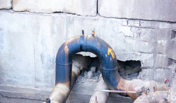 Best Commercial water damage restoration  in Roseau, MN